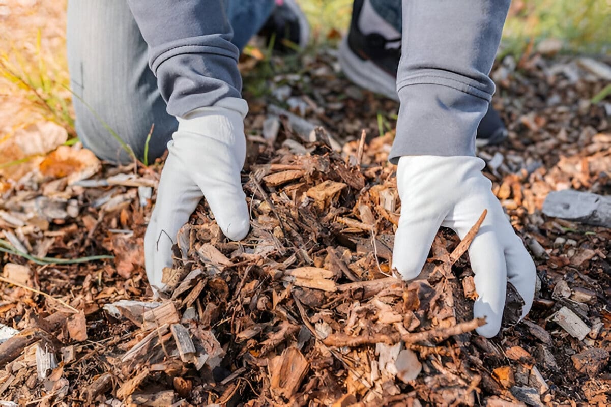 Différents types de paillis pour le jardin
