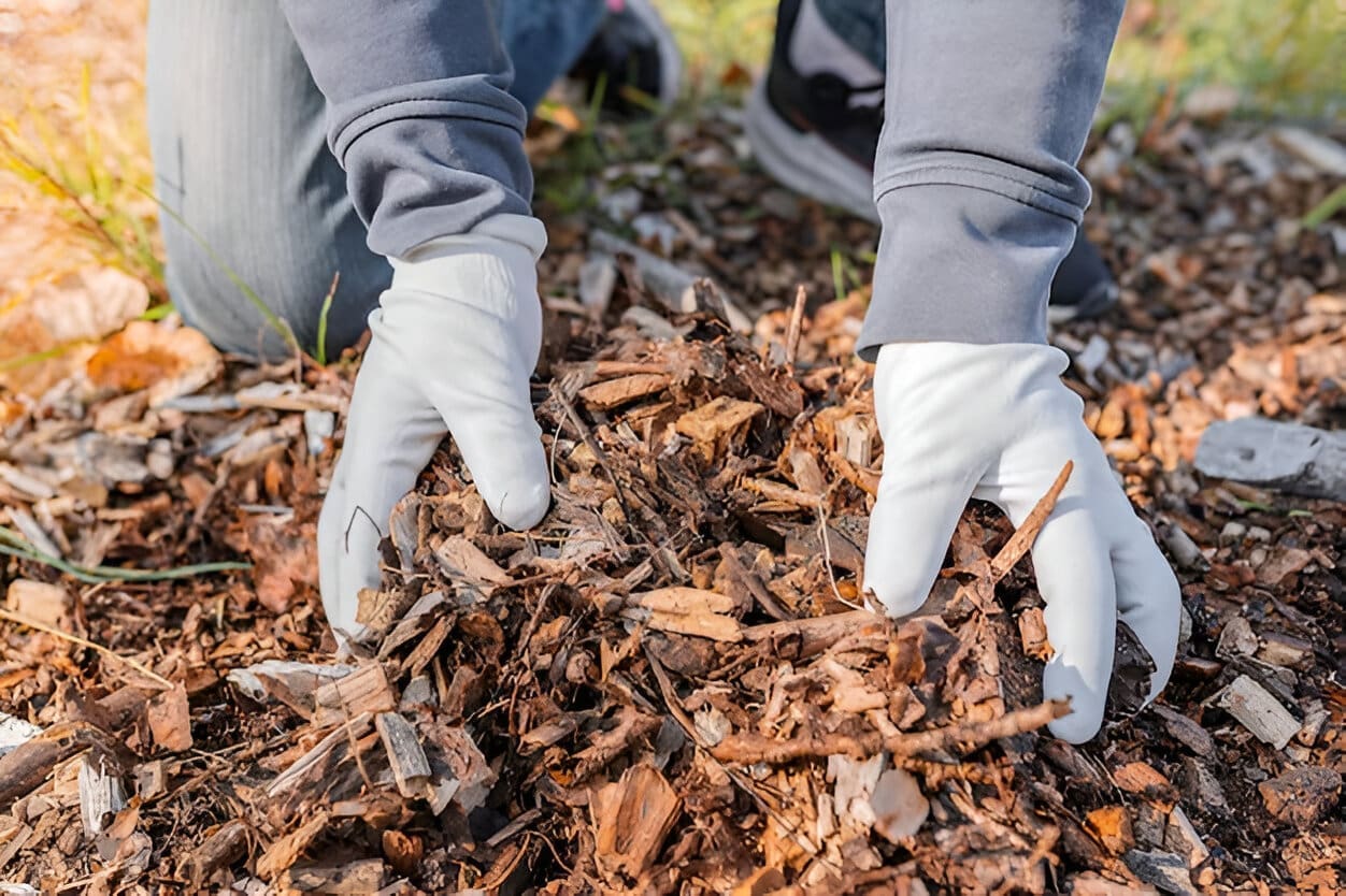 Différents types de paillis pour le jardin