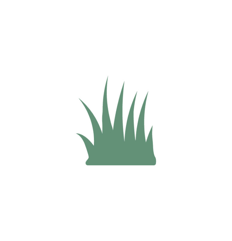 OZAE LOGO SymboleJardinSSfondRVB